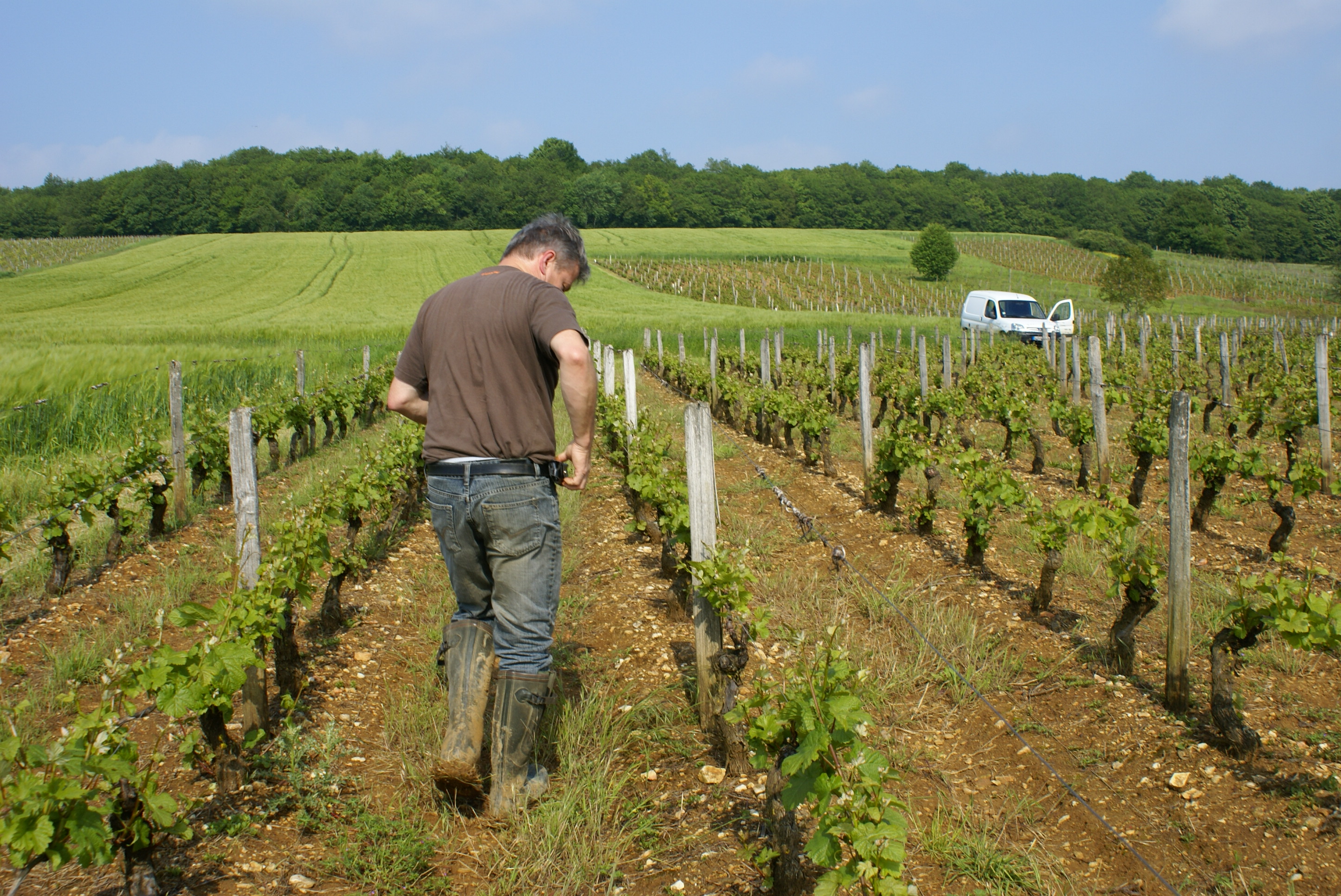 The guided classical wine tours are offered to <strong>epicureans</strong> wishing to discover Upper-Loire appellations.