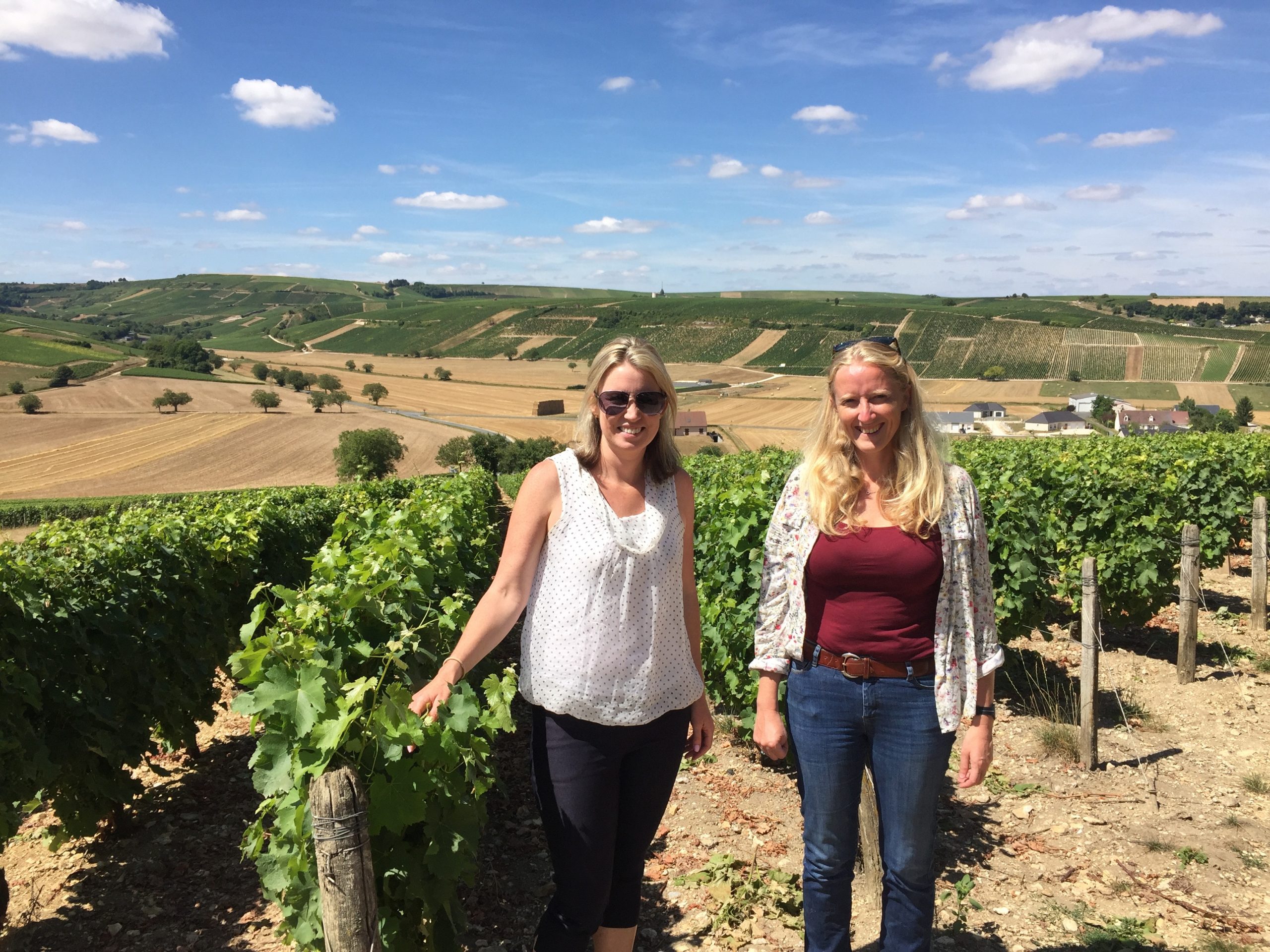 Press VINITOUR Wine Tours & Wine Tastings